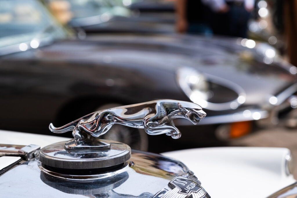 Jaguar E-Type in the heart of Zagreb, Zagreb